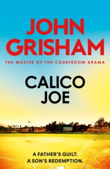 Calico Joe : The unforgettable family drama from the number 1 Sunday Times bestselling author - 9781399740432