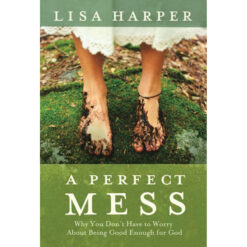 Perfect Mess (Paperback)