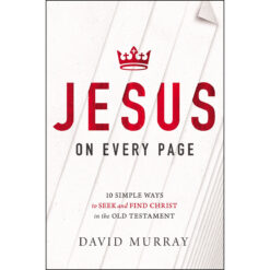 Jesus On Every Page: 10 Simple Ways To Seek And Find Christ In The Old Testament (Paperback)