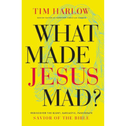 What Made Jesus Mad?: Rediscover The Blunt, Sarcastic, Passionate Savior Of The Bible (Paperback)