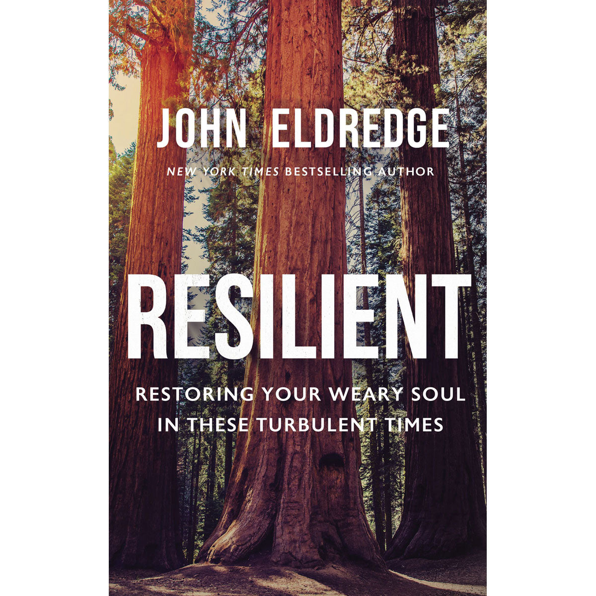 Resilient: Restoring Your Weary Soul In These Turbulent Times (Hardcover)