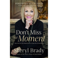 Don't Miss The Moment: How God Uses The Insignificant To Create The Extraordinary (Paperback)