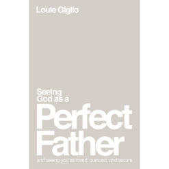 Seeing God As A Perfect Father: And Seeing You As Loved, Pursued & Secure (Paperback)