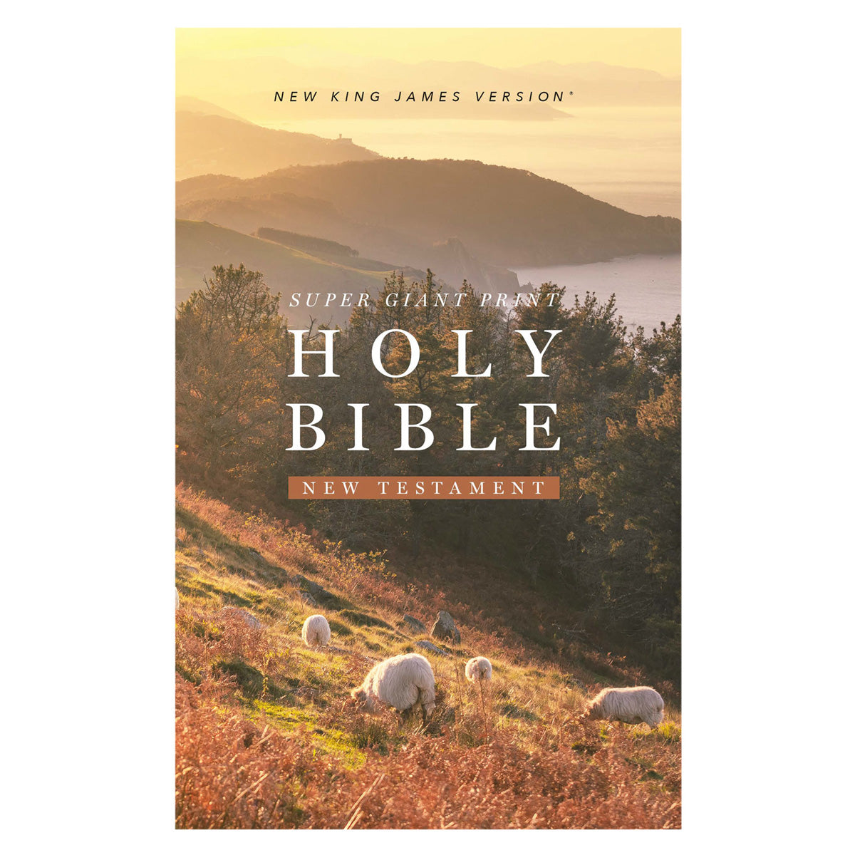 NKJV Paperback New Testament Bible Red Letter Super Giant Comfort Print