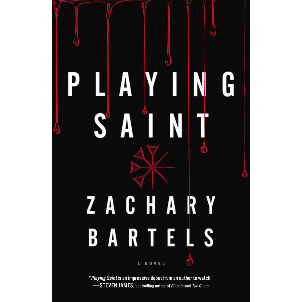 Playing Saint (Paperback)