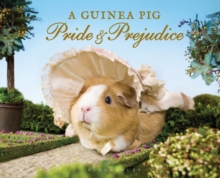 A Guinea Pig Pride & Prejudice - 9781408865514