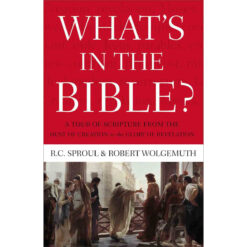 What's In The Bible (Paperback)