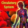Our Body Circulatory System
