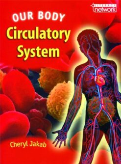 Our Body Circulatory System