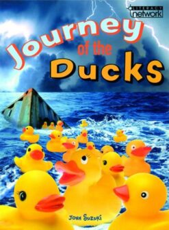 Journey Of The Ducks
