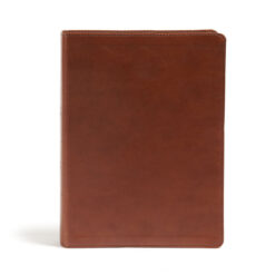 CSB Holy Land Illustrated Bible British Tan (Imitation Leather)