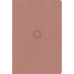 KJV Rose Gold Imitation Leather Essential Teen Study Bible Indexed