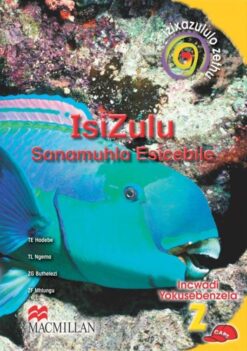 Izixazululo Zethu Isizulu Sanamuhla Ibanga 2 Incwadi Yokusebenzela