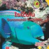 Izixazululo Zethu Isizulu Sanamuhla Ibanga 2 Incwadi Yomfundi