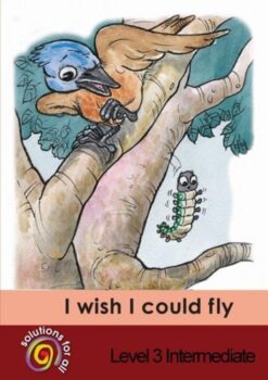 Solutions For All English Home Language Grade 3 Intermediate I Wish I Could