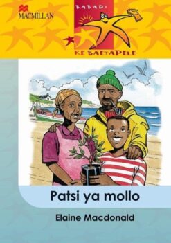 Babadi Ke Baetapele Kreiti 5 Patsi Ya Mollo