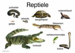 Reptiele