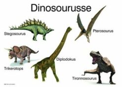Dinosourusse