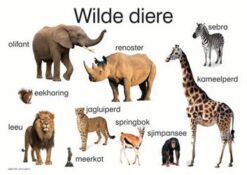 Wilde Diere