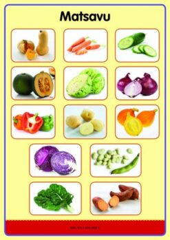 Tinhlamula Ta Hinkwaswo Xitsonga Giredi R Poster: Matsavu