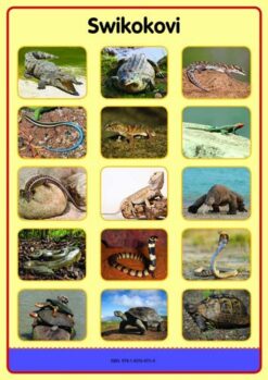 Tinhlamula Ta Hinkwaswo Xitsonga Giredi R Poster: Swinyanyana