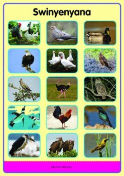 Tinhlamula Ta Hinkwaswo Xitsonga Giredi R Poster: Swikokovi