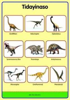 Tinhlamula Ta Hinkwaswo Xitsonga Giredi R Poster: Tidayinaso