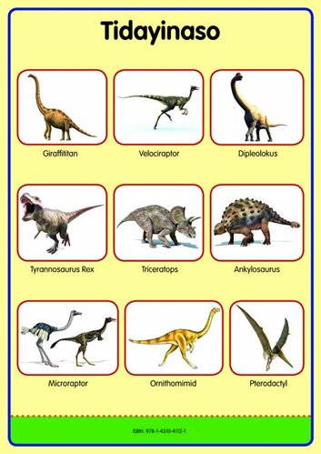 Tinhlamula Ta Hinkwaswo Xitsonga Giredi R Poster: Tidayinaso