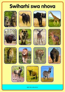 Tinhlamula Ta Hinkwaswo Xitsonga Giredi R Poster: Swihari Swa Nhova