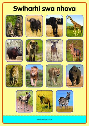 Tinhlamula Ta Hinkwaswo Xitsonga Giredi R Poster: Swihari Swa Nhova