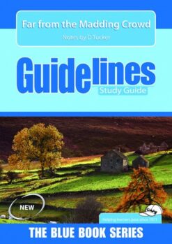 Far From The Madding Crowd Literature Guide