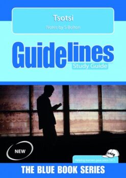 Tsotsi Literature Guide