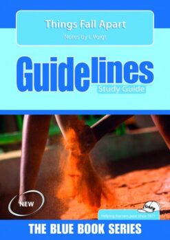 Things Fall Apart Literature Guide