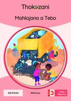 Mahlajana A Tebo - Grade 3