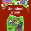Here We Go! Umndeni Wami Big Books