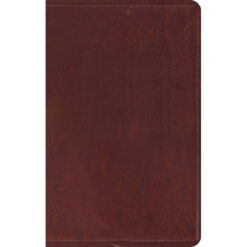 ESV Thinline Bible Brown (Sleeves)(Bonded Leather)