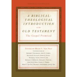 A Biblical Theological Introduction To The Old Testament (Hardcover)
