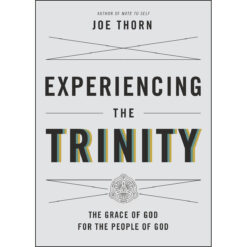 Experiencing The Trinity (Paperback)