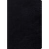 ESV Study Bible Large Print Black (Genuine Leather)