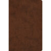 ESV Compact Value Bible Brown (Imitation Leather)