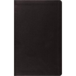 ESV Value Thinline Bible Black (Imitation Leather)