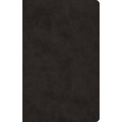 ESV Large Print Value Thinline Bible Black (Imitation Leather)