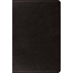 ESV Large Print Bible Leather With Ribbon Marker Black (Genuine Leather)