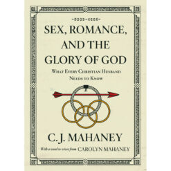 Sex Romance And The Glory Of God (Paperback)