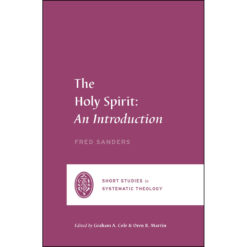 The Holy Spirit: An Introduction (Short Studies In Systematic Theology)(Paperback)