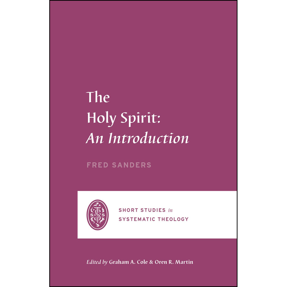 The Holy Spirit: An Introduction (Short Studies In Systematic Theology)(Paperback)