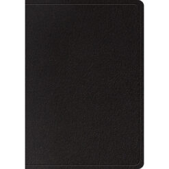 ESV Large Print Wide Margin Bible Black (Genuine Leather)