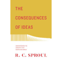 The Consequences Of Ideas: Understanding The Concepts 2018 (Paperback)