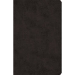 ESV Prayer Bible Black (Imitation Leather)