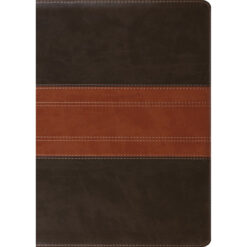ESV Study Bible Large Print Forest / Tan Trail Design (Imitation Leather)